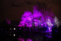 Lumières > Fête des Lumières - Lyon > Edition 2008 > Parc de la Tête d'Or