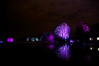 Lumières > Fête des Lumières - Lyon > Edition 2008 > Parc de la Tête d'Or