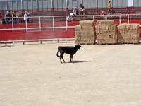 Voyages - Séjours > Nîmes-Uzès - Septembre 2005