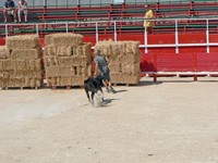 Voyages - Séjours > Nîmes-Uzès - Septembre 2005