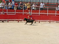 Voyages - Séjours > Nîmes-Uzès - Septembre 2005