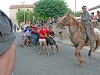 Voyages - Séjours > Nîmes-Uzès - Septembre 2005