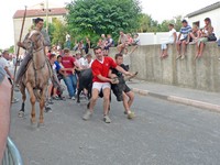 Voyages - Séjours > Nîmes-Uzès - Septembre 2005