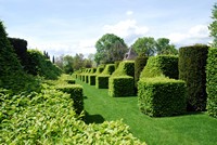 Voyages - Séjours > Périgord - Mai 2009 > Les jardins du manoir d'Eyrignac