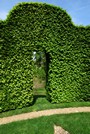 Voyages - Séjours > Périgord - Mai 2009 > Les jardins du manoir d'Eyrignac