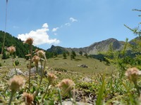 Voyages - Séjours > Alpes > Les Orres et Saint-Véran - Juillet 2006