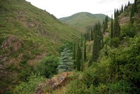 Voyages - Séjours > Pays de Carcassonne > Châteaux de Lastours