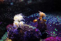 Voyages - Séjours > Charente Maritime > La Rochelle > Aquarium de La Rochelle