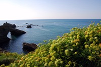 Voyages - Séjours > Pays Basque > Biarritz