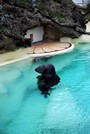 Voyages - Séjours > Pays Basque > Biarritz