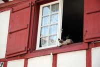 Voyages - Séjours > Pays Basque > Ustaritz